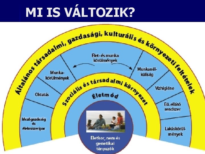 MI IS VÁLTOZIK? MANDRIK ISTVÁN OMB ÜGYVIVŐ +36309411907 43 