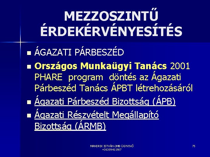 MEZZOSZINTŰ ÉRDEKÉRVÉNYESÍTÉS ÁGAZATI PÁRBESZÉD n Országos Munkaügyi Tanács 2001 PHARE program döntés az Ágazati