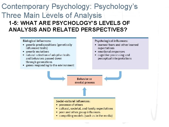 Contemporary Psychology: Psychology’s Three Main Levels of Analysis 1 -5: WHAT ARE PSYCHOLOGY’S LEVELS