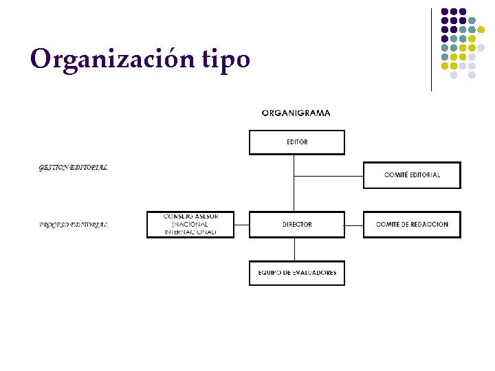 Organización tipo 