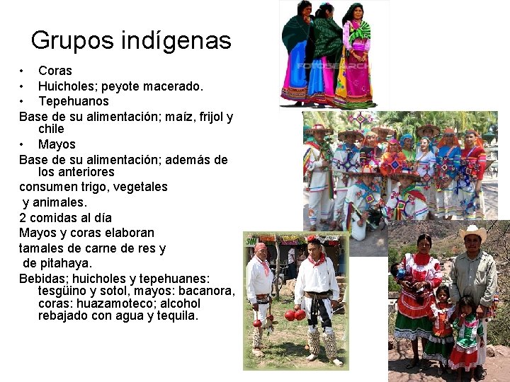 Grupos indígenas • Coras • Huicholes; peyote macerado. • Tepehuanos Base de su alimentación; Grupos indígenas • Coras • Huicholes; peyote macerado. • Tepehuanos Base de su alimentación;