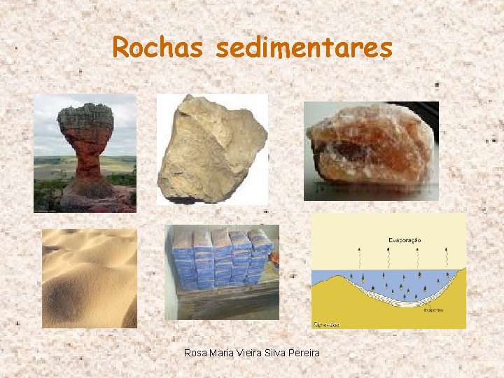 Rochas sedimentares Rosa Maria Vieira Silva Pereira 