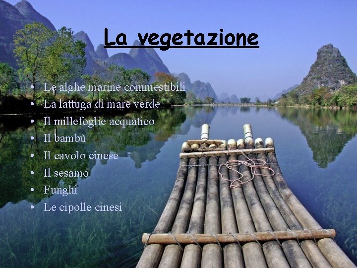 La vegetazione • • Le alghe marine commestibili La lattuga di mare verde Il