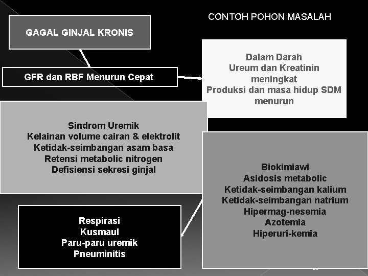 CONTOH POHON MASALAH GAGAL GINJAL KRONIS GFR dan RBF Menurun Cepat Sindrom Uremik Kelainan