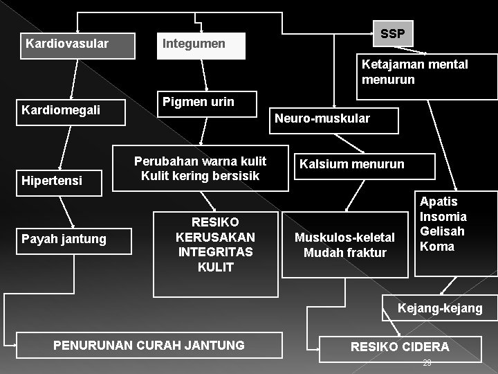 Kardiovasular SSP Integumen Ketajaman mental menurun Kardiomegali Hipertensi Payah jantung Pigmen urin Neuro-muskular Perubahan