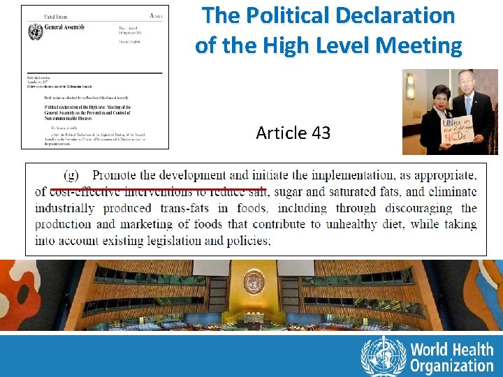 The Political Declaration of the High Level Meeting Article 43 