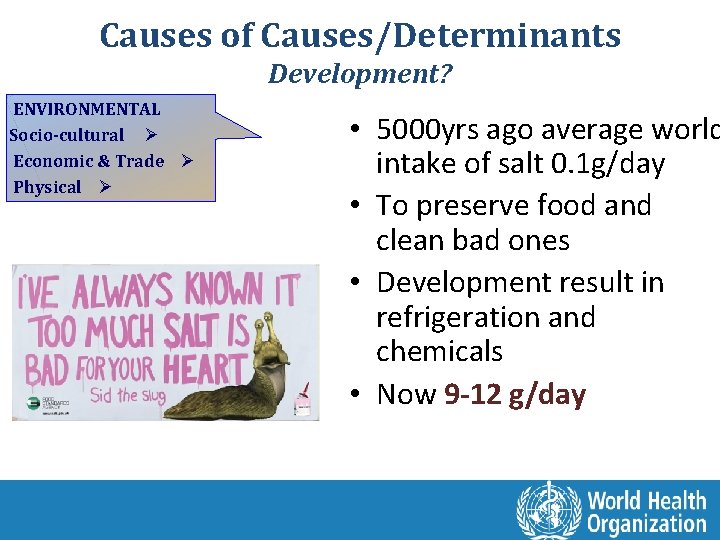 Causes of Causes/Determinants Development? ENVIRONMENTAL Socio-cultural Ø Economic & Trade Ø Physical Ø •