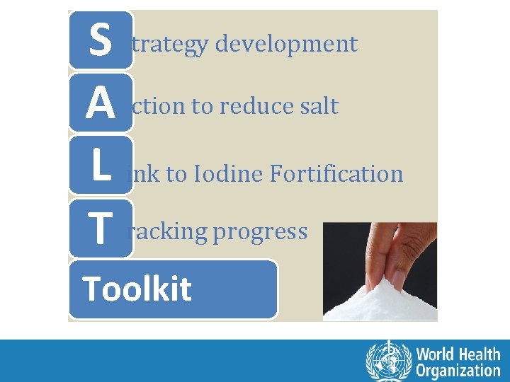 S trategy development A ction to reduce salt L ink to Iodine Fortification T