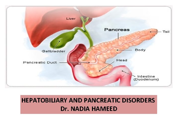 HEPATOBILIARY AND PANCREATIC DISORDERS Dr. NADIA HAMEED 