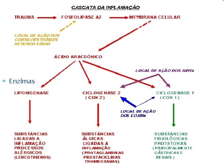 CLASSES TERAPÊUTICAS Enzimas CLASSES TERAPÊUTICAS Enzimas