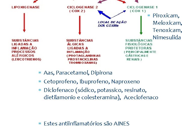  Piroxicam, Meloxicam, Tenoxicam, Nimesulida Aas, Paracetamol, Dipirona Cetoprofeno, Ibuprofeno, Naproxeno Diclofenaco (sódico, potassico,