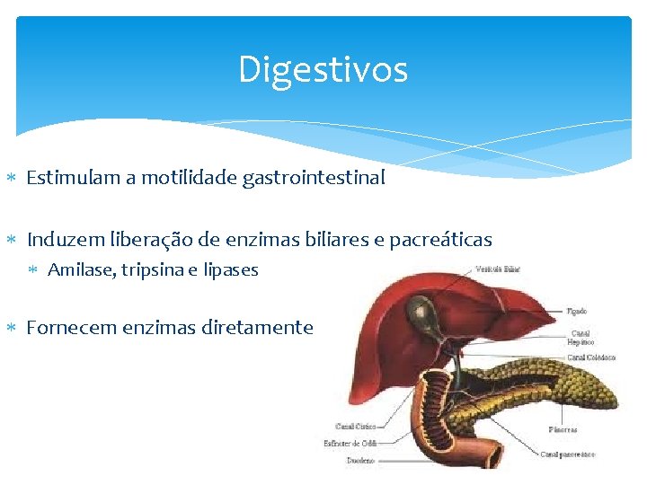 Digestivos Estimulam a motilidade gastrointestinal Induzem liberação de enzimas biliares e pacreáticas Amilase, tripsina Digestivos Estimulam a motilidade gastrointestinal Induzem liberação de enzimas biliares e pacreáticas Amilase, tripsina