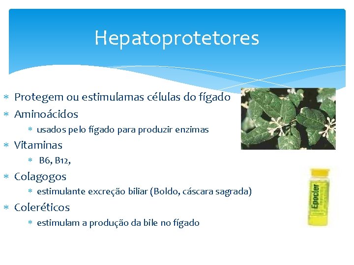 Hepatoprotetores Protegem ou estimulamas células do fígado Aminoácidos usados pelo fígado para produzir enzimas