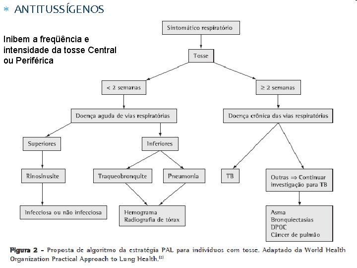  ANTITUSSÍGENOS Inibem a freqüência e intensidade da tosse Central ou Periférica 