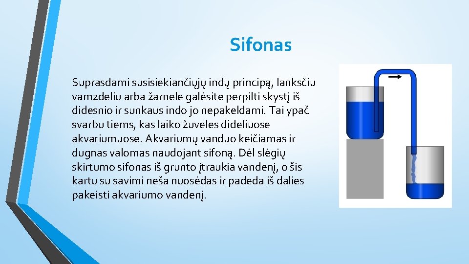 Sifonas Suprasdami susisiekiančiųjų indų principą, lanksčiu vamzdeliu arba žarnele galėsite perpilti skystį iš didesnio