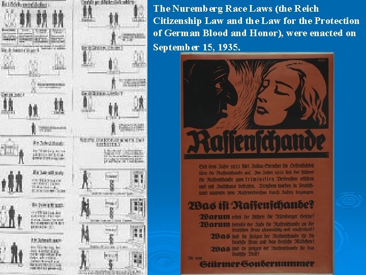 The Nuremberg Race Laws (the Reich Citizenship Law and the Law for the Protection