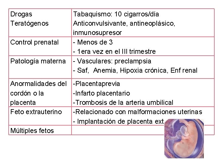 Drogas Teratógenos Control prenatal Patología materna Anormalidades del cordón o la placenta Feto extrauterino