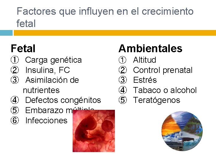 Factores que influyen en el crecimiento fetal Fetal Ambientales ① Carga genética ② Insulina,