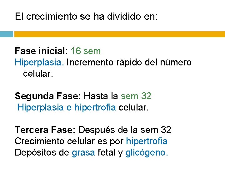 El crecimiento se ha dividido en: Fase inicial: 16 sem Hiperplasia. Incremento rápido del