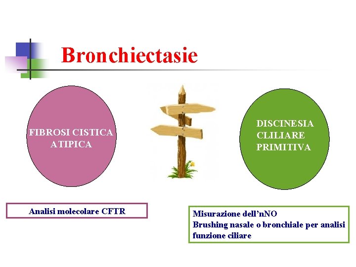 Bronchiectasie FIBROSI CISTICA ATIPICA Analisi molecolare CFTR DISCINESIA CLILIARE PRIMITIVA Misurazione dell’n. NO Brushing