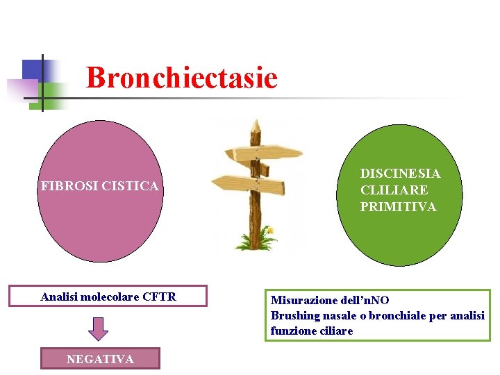 Bronchiectasie FIBROSI CISTICA Analisi molecolare CFTR NEGATIVA DISCINESIA CLILIARE PRIMITIVA Misurazione dell’n. NO Brushing