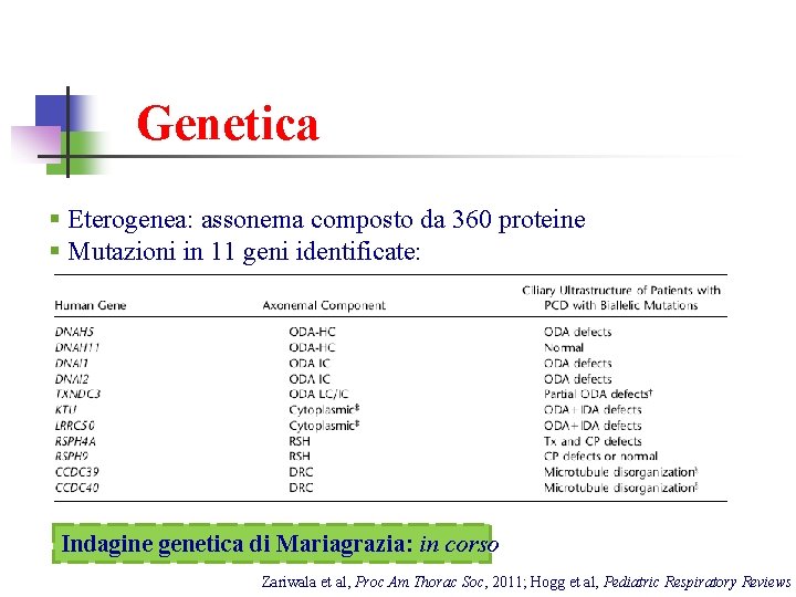 Genetica § Eterogenea: assonema composto da 360 proteine § Mutazioni in 11 geni identificate: