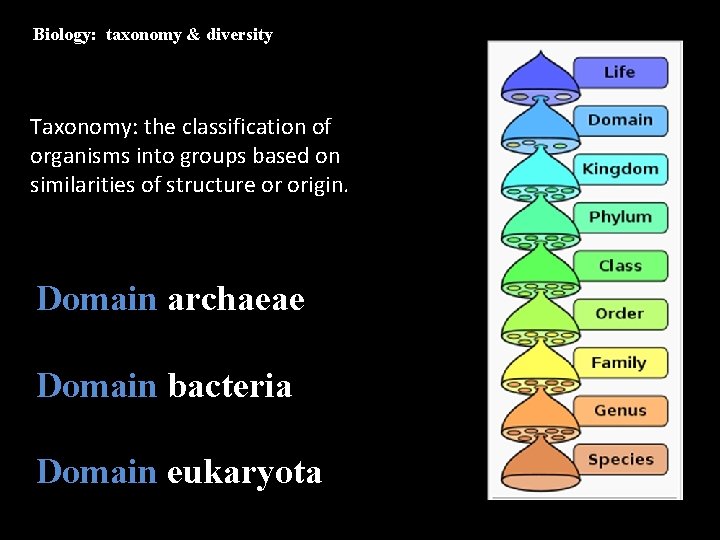 Biology: taxonomy & diversity Taxonomy: the classification of organisms into groups based on similarities