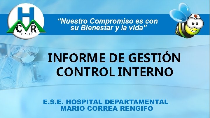 INFORME DE GESTIÓN CONTROL INTERNO 