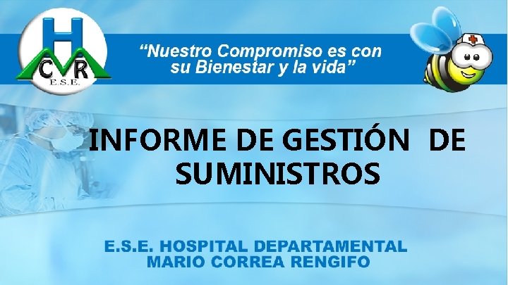 INFORME DE GESTIÓN DE SUMINISTROS 