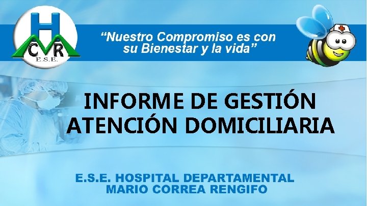 INFORME DE GESTIÓN ATENCIÓN DOMICILIARIA 