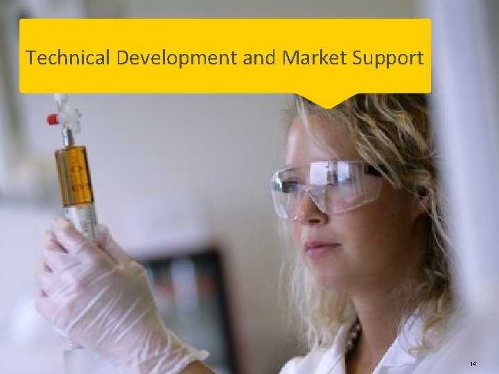 Technical Development and Market Support 14 