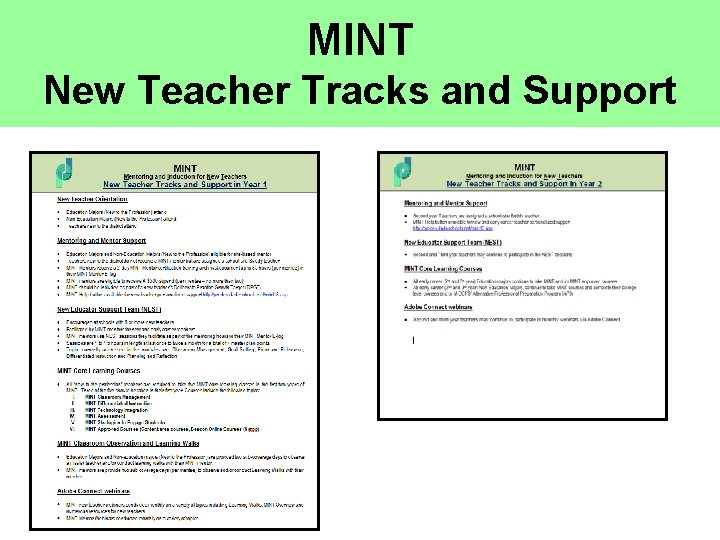 MINT New Teacher Tracks and Support 