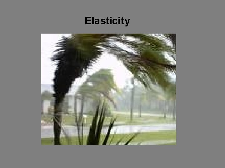 Elasticity 
