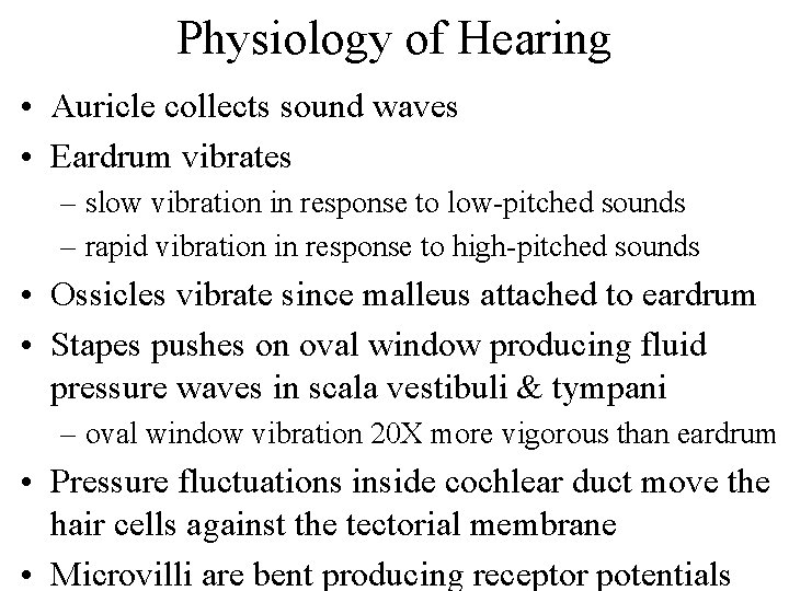Physiology of Hearing • Auricle collects sound waves • Eardrum vibrates – slow vibration