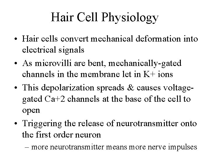 Hair Cell Physiology • Hair cells convert mechanical deformation into electrical signals • As