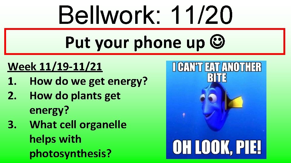 Bellwork: 11/20 Put your phone up Week 11/19 -11/21 1. How do we get