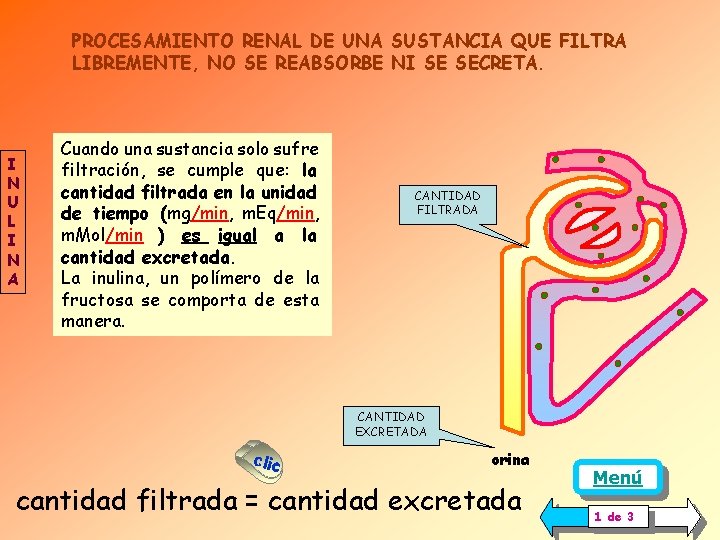 PROCESAMIENTO RENAL DE UNA SUSTANCIA QUE FILTRA LIBREMENTE, NO SE REABSORBE NI SE SECRETA. PROCESAMIENTO RENAL DE UNA SUSTANCIA QUE FILTRA LIBREMENTE, NO SE REABSORBE NI SE SECRETA.