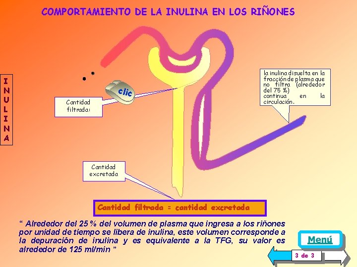 COMPORTAMIENTO DE LA INULINA EN LOS RIÑONES I N U L I N A COMPORTAMIENTO DE LA INULINA EN LOS RIÑONES I N U L I N A