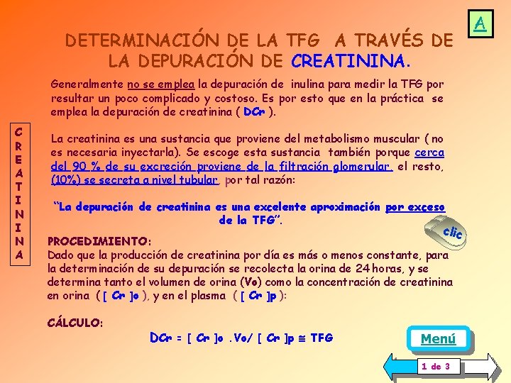 DETERMINACIÓN DE LA TFG A TRAVÉS DE LA DEPURACIÓN DE CREATININA. Generalmente no se DETERMINACIÓN DE LA TFG A TRAVÉS DE LA DEPURACIÓN DE CREATININA. Generalmente no se