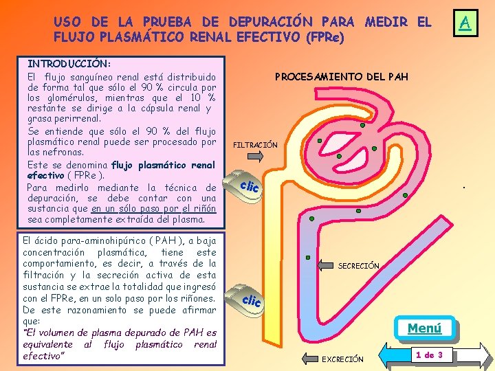 USO DE LA PRUEBA DE DEPURACIÓN PARA MEDIR EL FLUJO PLASMÁTICO RENAL EFECTIVO (FPRe) USO DE LA PRUEBA DE DEPURACIÓN PARA MEDIR EL FLUJO PLASMÁTICO RENAL EFECTIVO (FPRe)