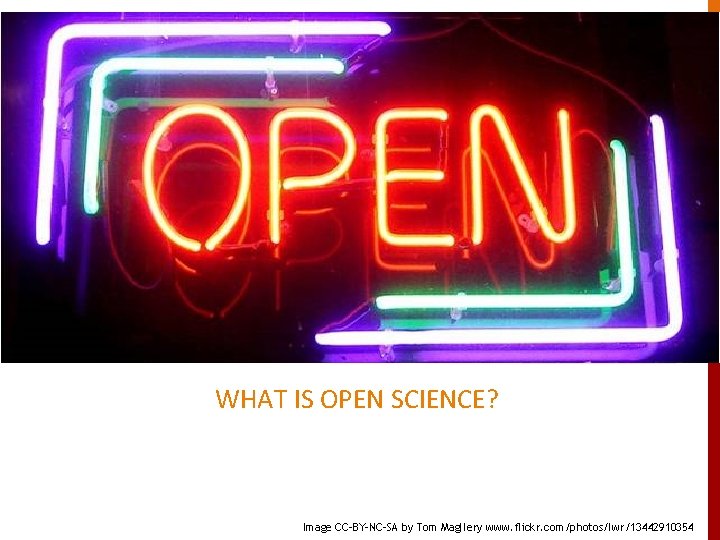 WHAT IS OPEN SCIENCE? Some definitions and clarifications Image CC-BY-NC-SA by Tom Magllery www.