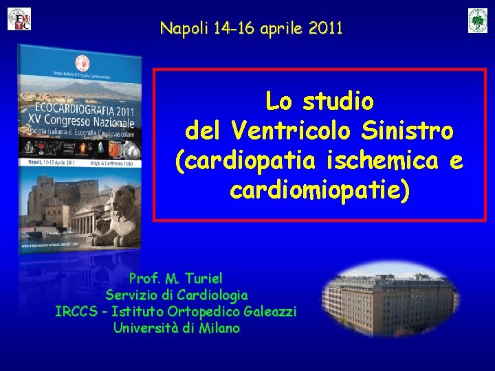 Napoli 14 -16 aprile 2011 Lo studio del Ventricolo Sinistro (cardiopatia ischemica e cardiomiopatie)