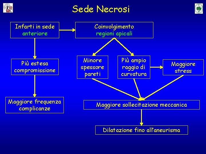 Sede Necrosi Infarti in sede anteriore Più estesa compromissione Maggiore frequenza complicanze Coinvolgimento regioni