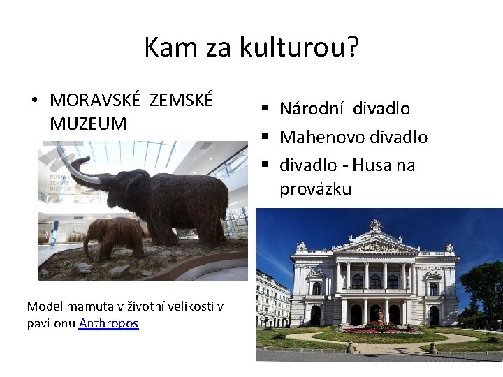 Kam za kulturou? • MORAVSKÉ ZEMSKÉ MUZEUM Model mamuta v životní velikosti v pavilonu