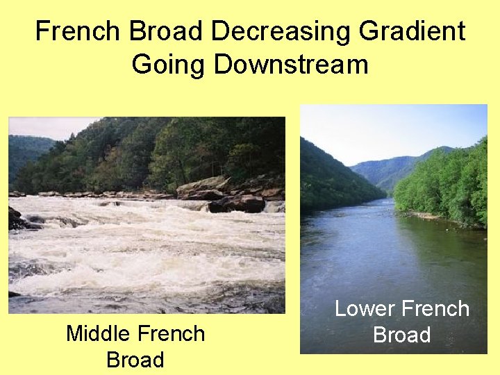 French Broad Decreasing Gradient Going Downstream Middle French Broad Lower French Broad 