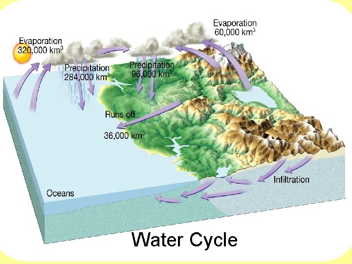 Water Cycle 