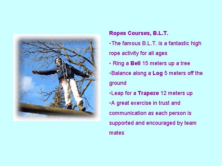 Ropes Courses, B. L. T. • The famous B. L. T. is a fantastic