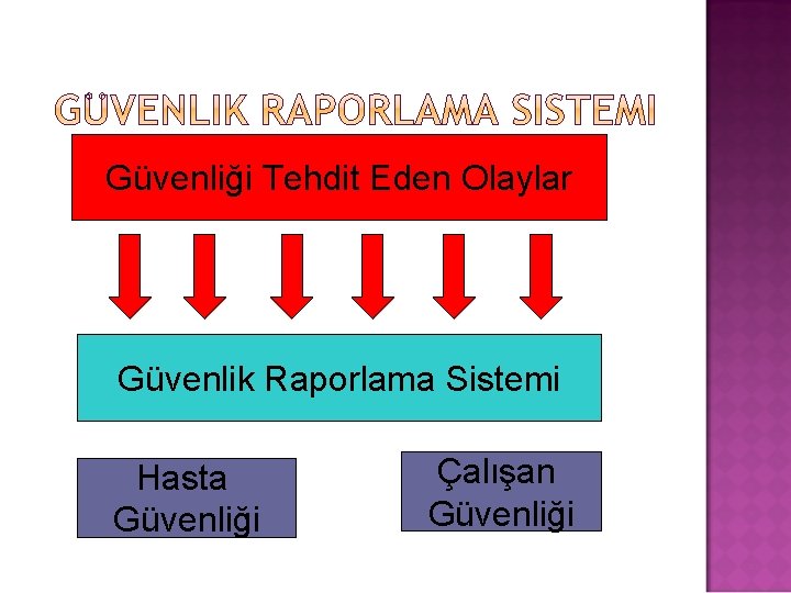 Güvenliği Tehdit Eden Olaylar Güvenlik Raporlama Sistemi Hasta Güvenliği Çalışan Güvenliği 