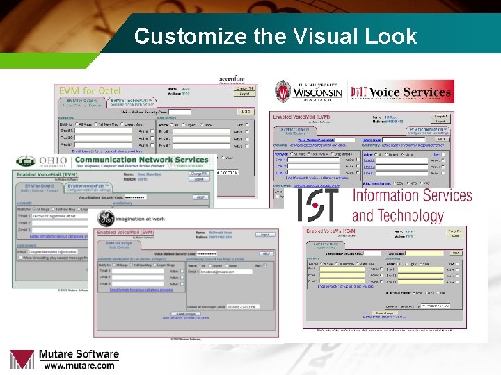 Customize the Visual Look 