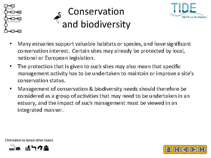 Conservation and biodiversity • Many estuaries support valuable habitats or species, and have significant